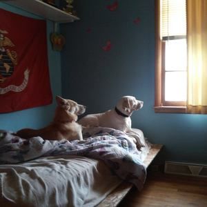 Meet your Posher, Sherrie